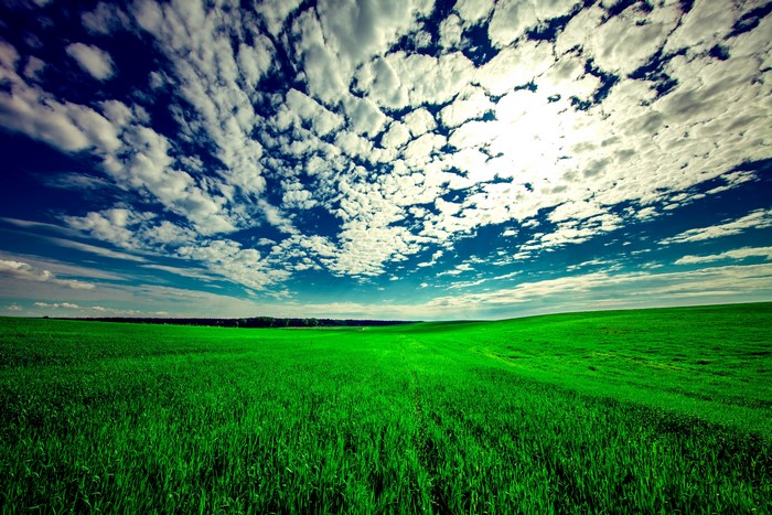 Green fields under a cloudy blue sky