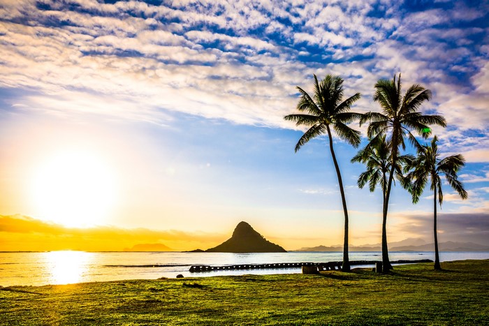 Sunrise over Hawaii coast with palm trees and clouds