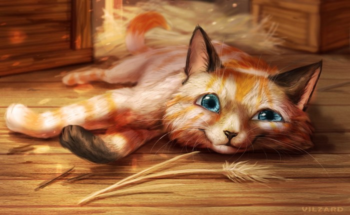 Orange and white cat lying on wooden floor