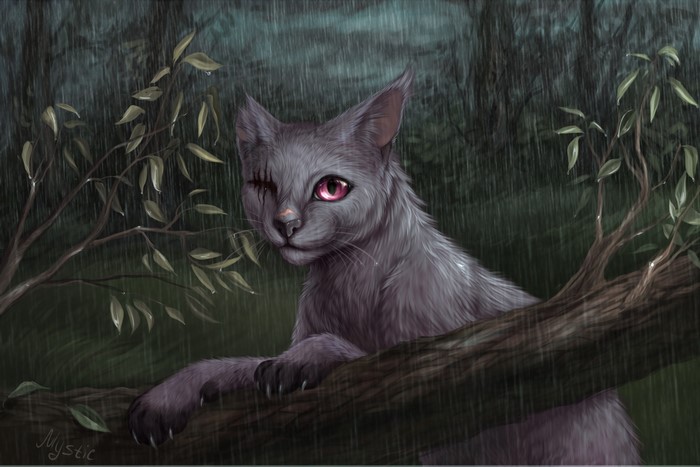 Gray cat with pink eyes in the rain