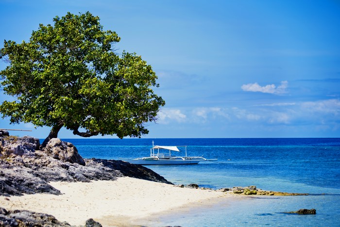 Philippines Coast with Tree and Boat