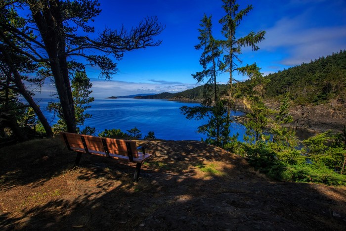 Bench overlooking a blue ocean and forested coastline