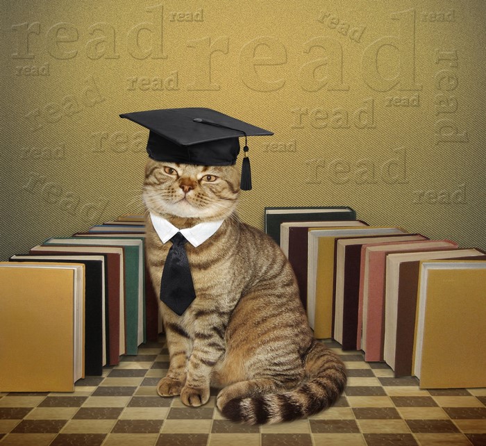 Cat wearing graduation cap and tie sitting by books