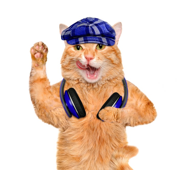 Ginger cat wearing headphones and a blue cap