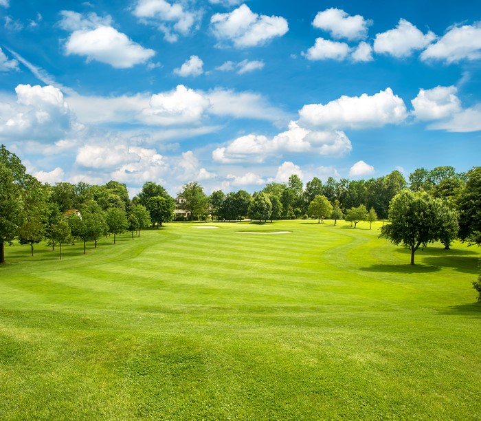 Golf course with trees and blue sky