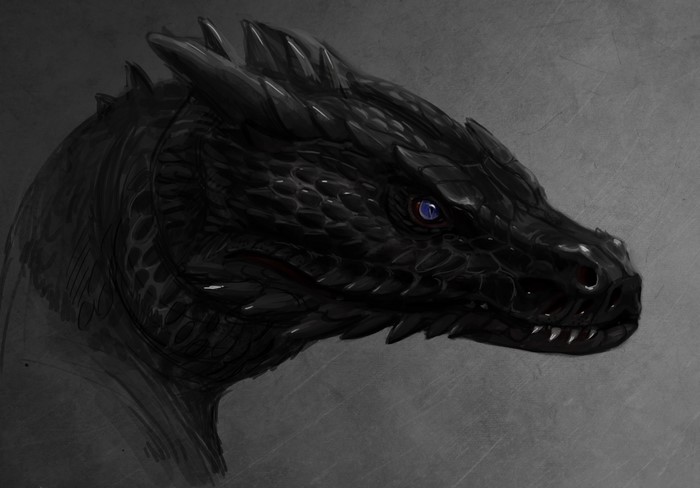 Black Dragon Head