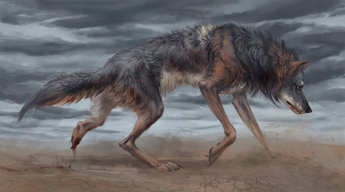 A wolf walks through a desolate, dusty landscape under a stormy sky.