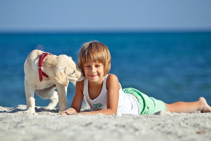 Boy and Labrador Retriever on a Beach
