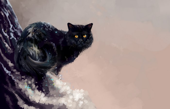 Black cat with yellow eyes on a snowy branch