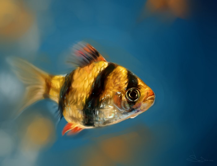 Tiger Barb fish painting