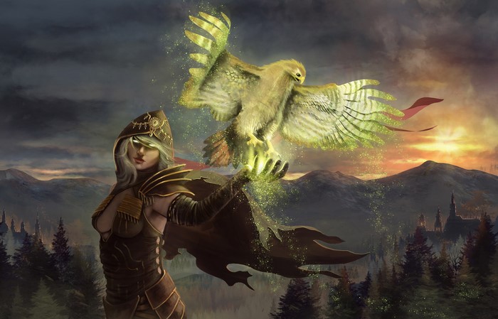 Woman in cloak with magic falcon over mountains