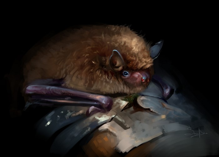 Painting of a bat resting on a surface