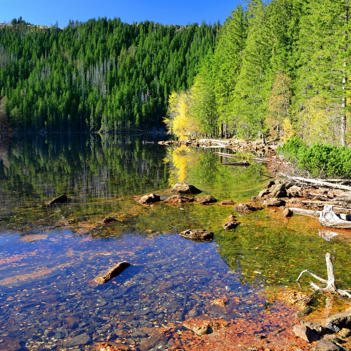 Lake with forest and stones in Czech Republic