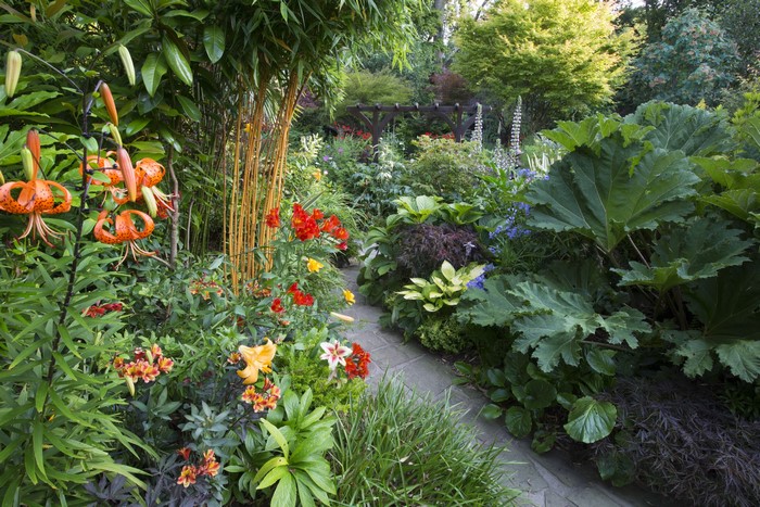 Walsall Garden England Lilies