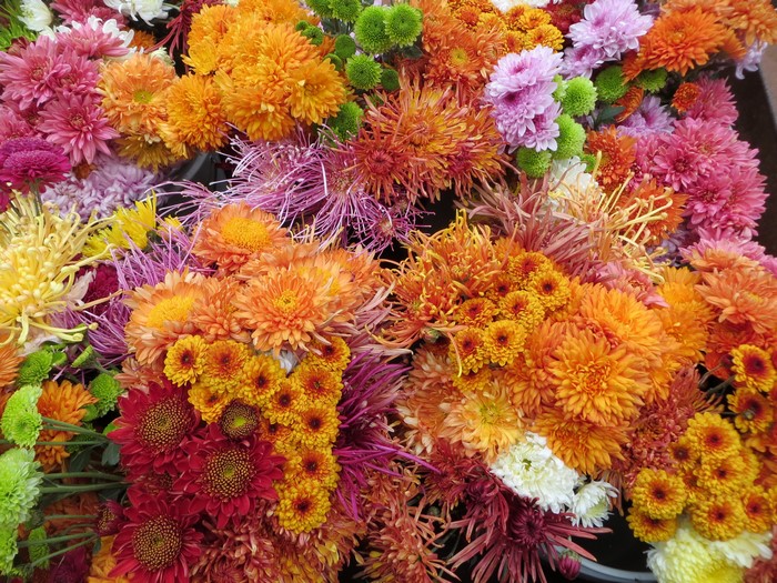A close-up of a vibrant bouquet of chrysanthemums