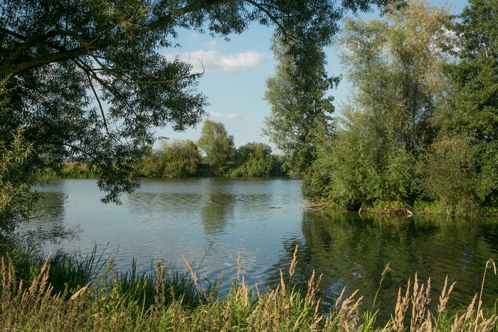 River and trees in Gunzenhausen, Germany