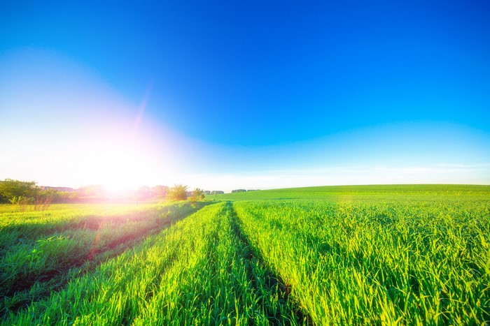 4K Green Fields Under Blue Sky with Sun