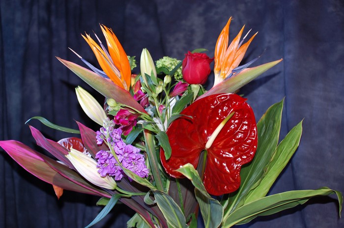 Tropical flower bouquet with anthurium and bird of paradise