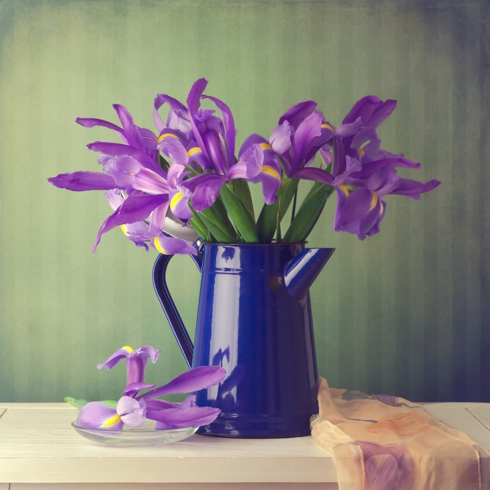 Purple irises in a blue jug