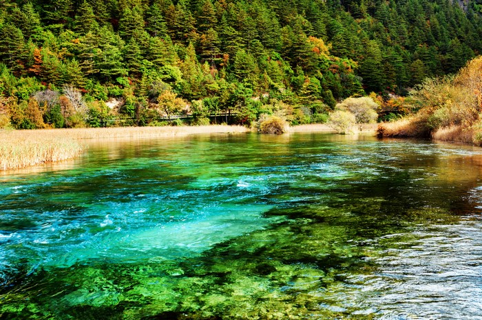 4K Jiuzhaigou National Park River in China