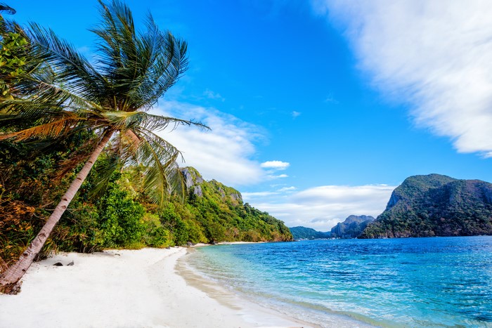 Tropical beach with palm trees and mountains in the Philippines