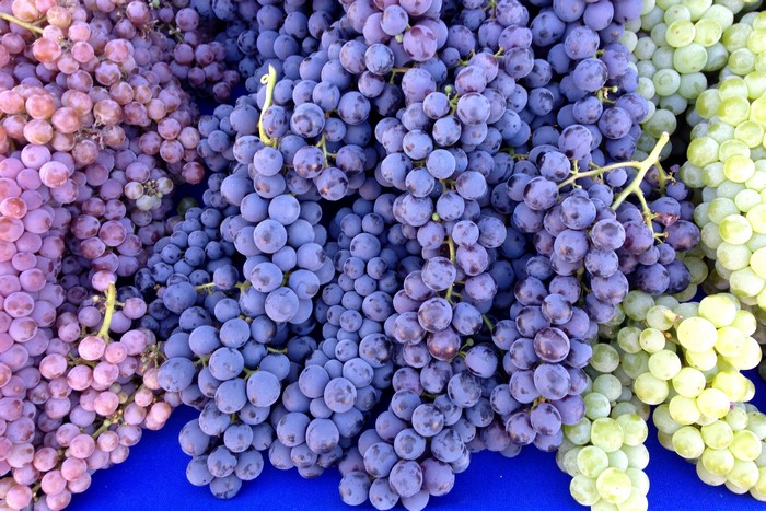 Bunches of red, purple, and green grapes