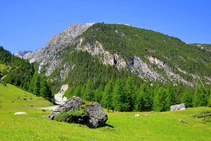 4K Bergun Switzerland Mountains Forests Stones Alps Grass