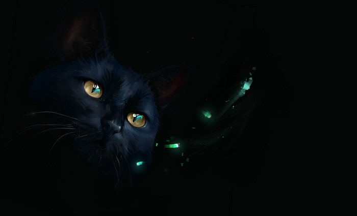 Black cat with glowing yellow eyes in the dark