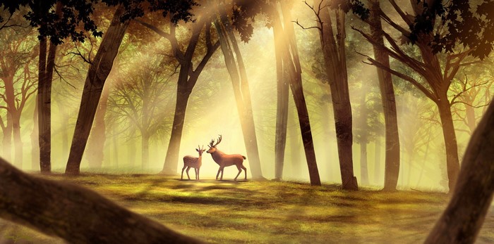 Two deer in a sunlit forest