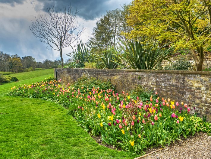 4K Standen House and Garden Tulips Lawn