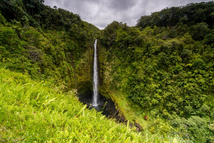 Akaka Falls Big Island Hawaii USA