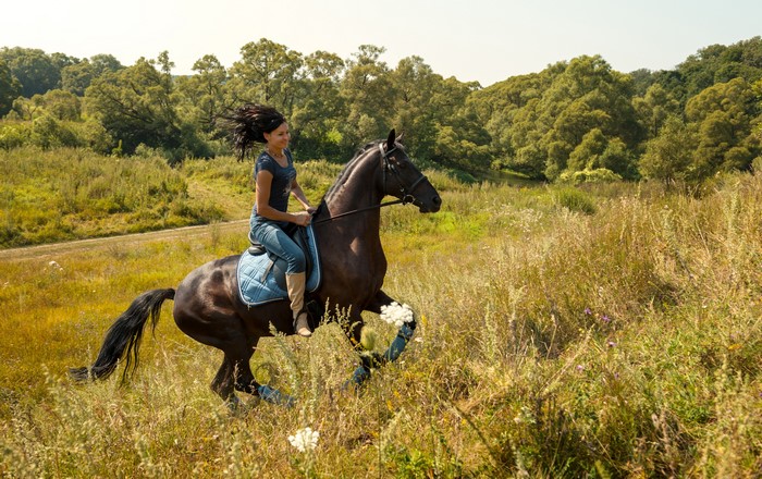Woman riding a brown horse in a field