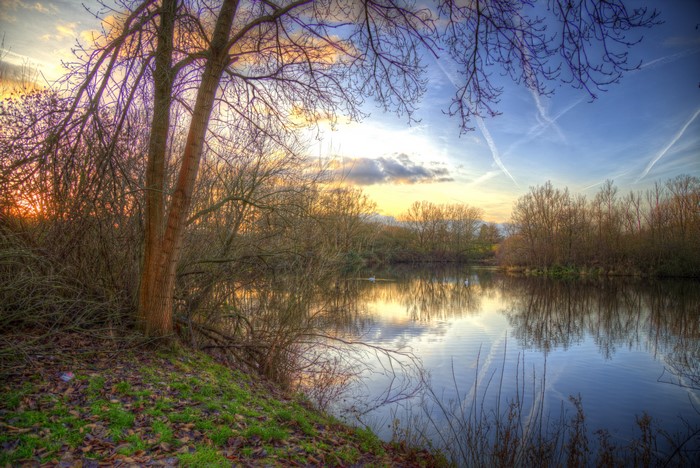 Autumn lake with trees and sunset sky