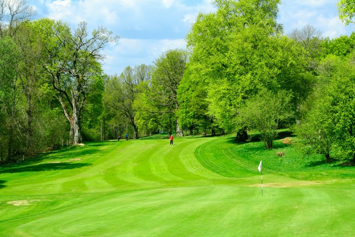 Golf course with trees and people