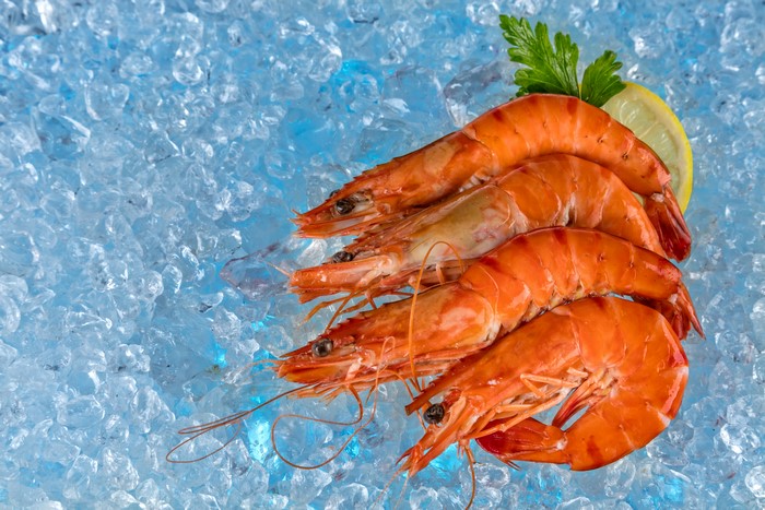 Four cooked shrimp on ice with lemon and parsley