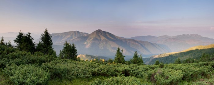 Mountains and shrubs in the Carpathians, Ukraine