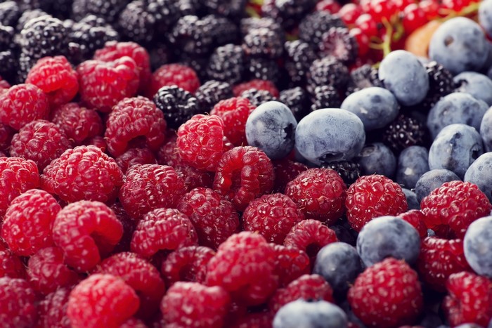 Raspberries, Blueberries, Blackberries, and Red Currants