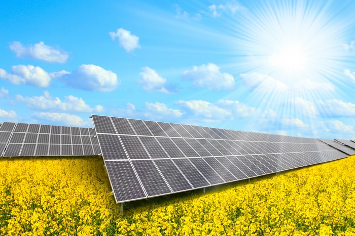 Solar panels in a field of yellow flowers under a sunny sky