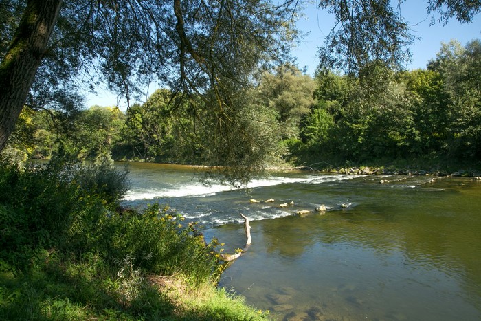 River flowing through a forest in Neufahrn bei Freising, Germany