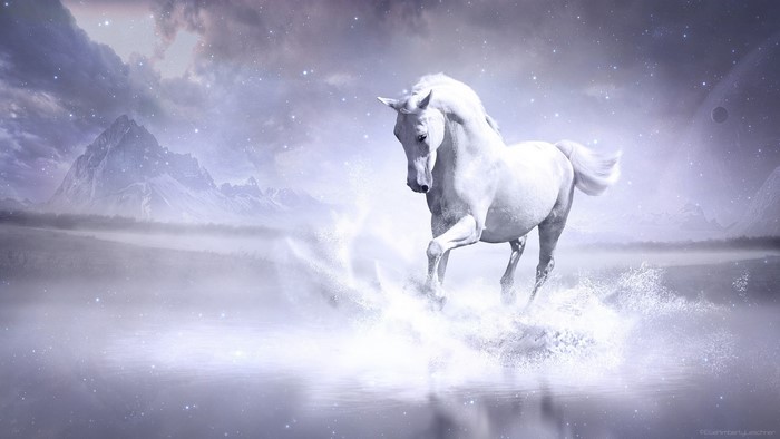 White horse running through water with mountains in background