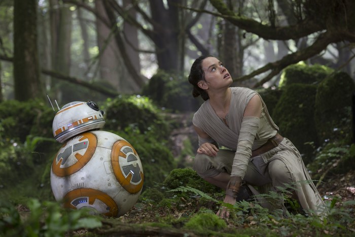 Rey and BB-8 from Star Wars: The Force Awakens