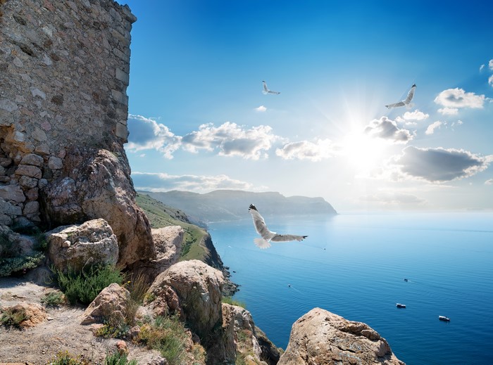 Seagulls flying over the sea near Crimea, Russia