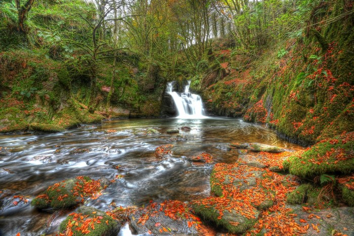 Mullinhassig Waterfall in Ireland with Moss and Autumn Leaves