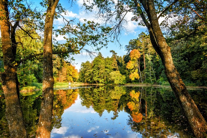 Autumn forest reflected in a calm lake in Trostianets, Ukraine