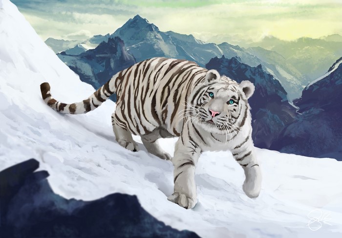 White Tiger Painting Art in Snow Mountains