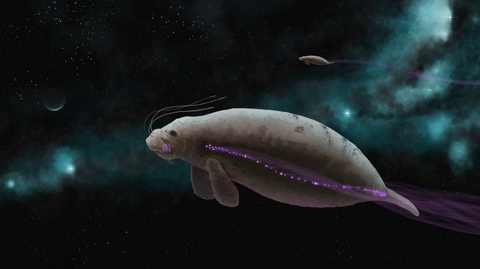 Magical space manatee and ship