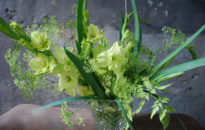 Yellow green gladioluses in a vase
