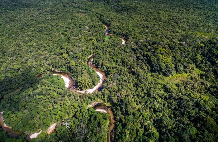 Aerial view of a winding river through the Amazon rainforest in Brazil