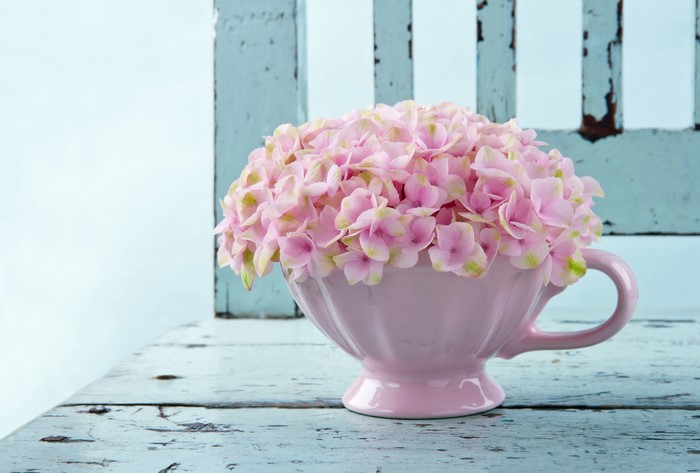 Pink Hydrangeas in a Teacup on a Wooden Table