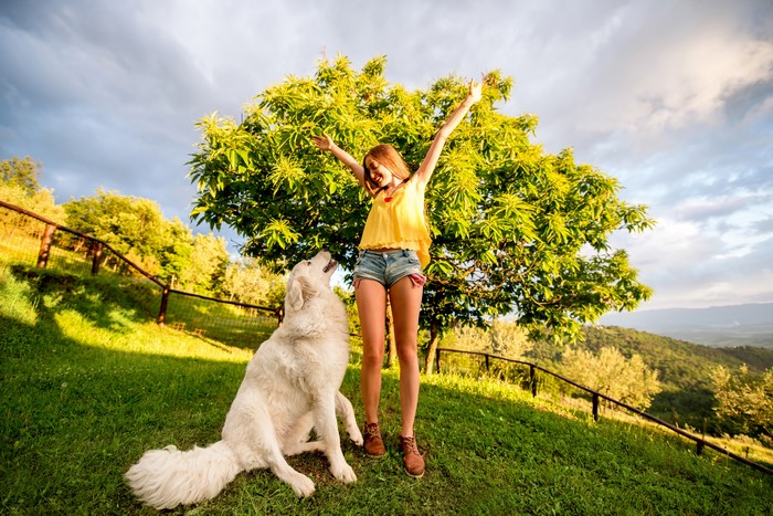 Girl and dog in a grassy field with a tree